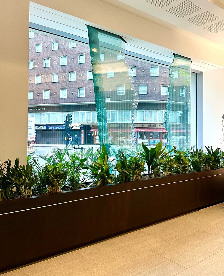 Benefits of Indoor Plants in the office