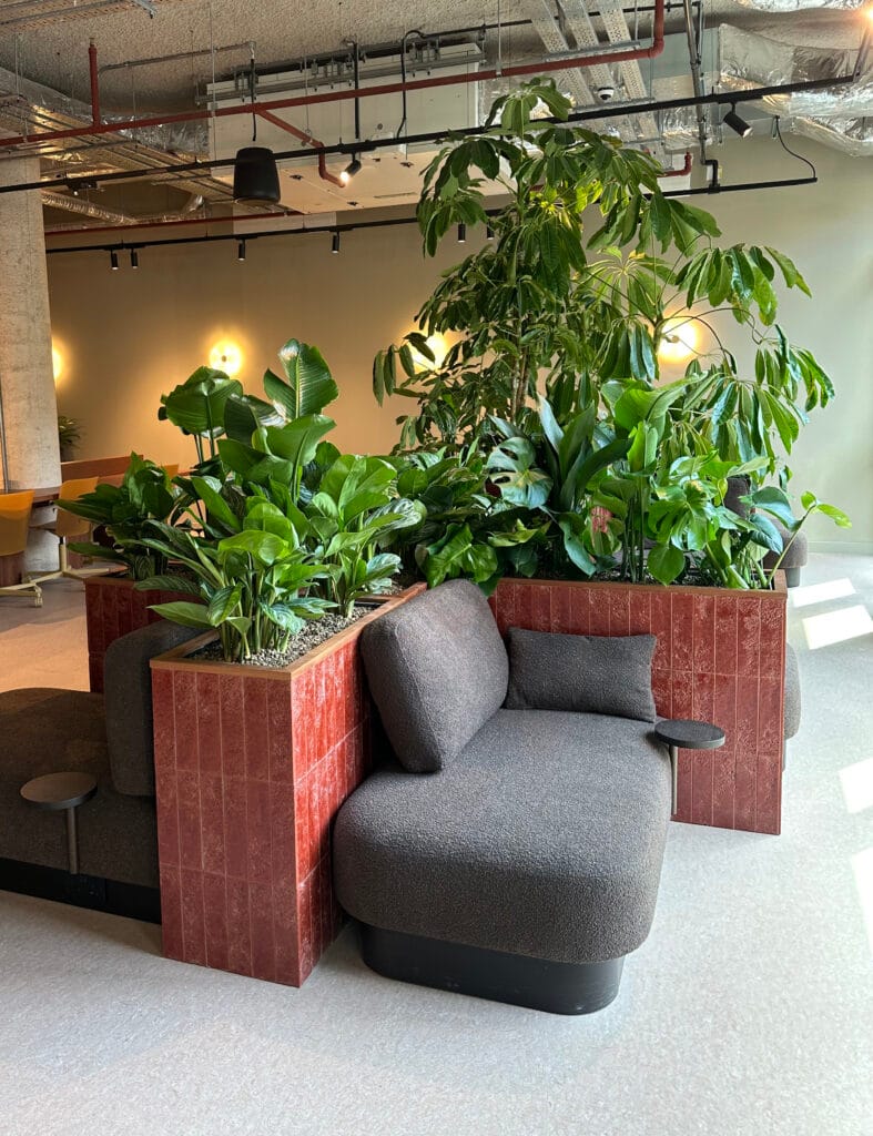 Modern lounge area with grey upholstered sofas and large green plants in reddish-brown tiled planters.