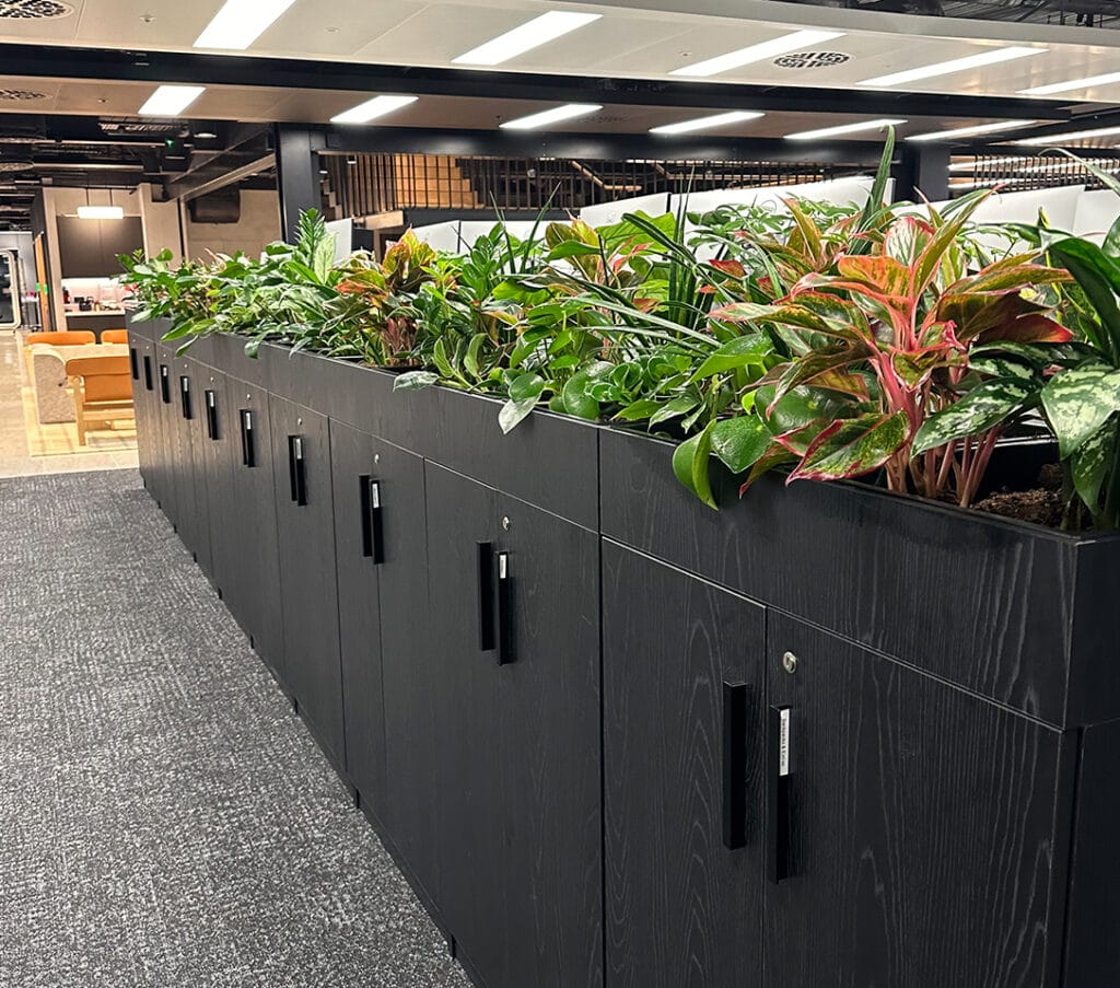 Long black storage unit topped with a planter box filled with diverse green and red-leafed plants in a modern office.