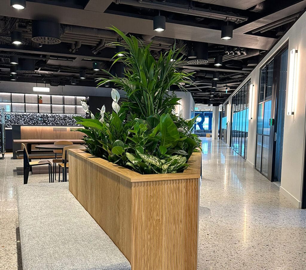 Large wooden planter box in a modern office, filled with various green plants and white peace lilies, next to a grey upholstered bench.