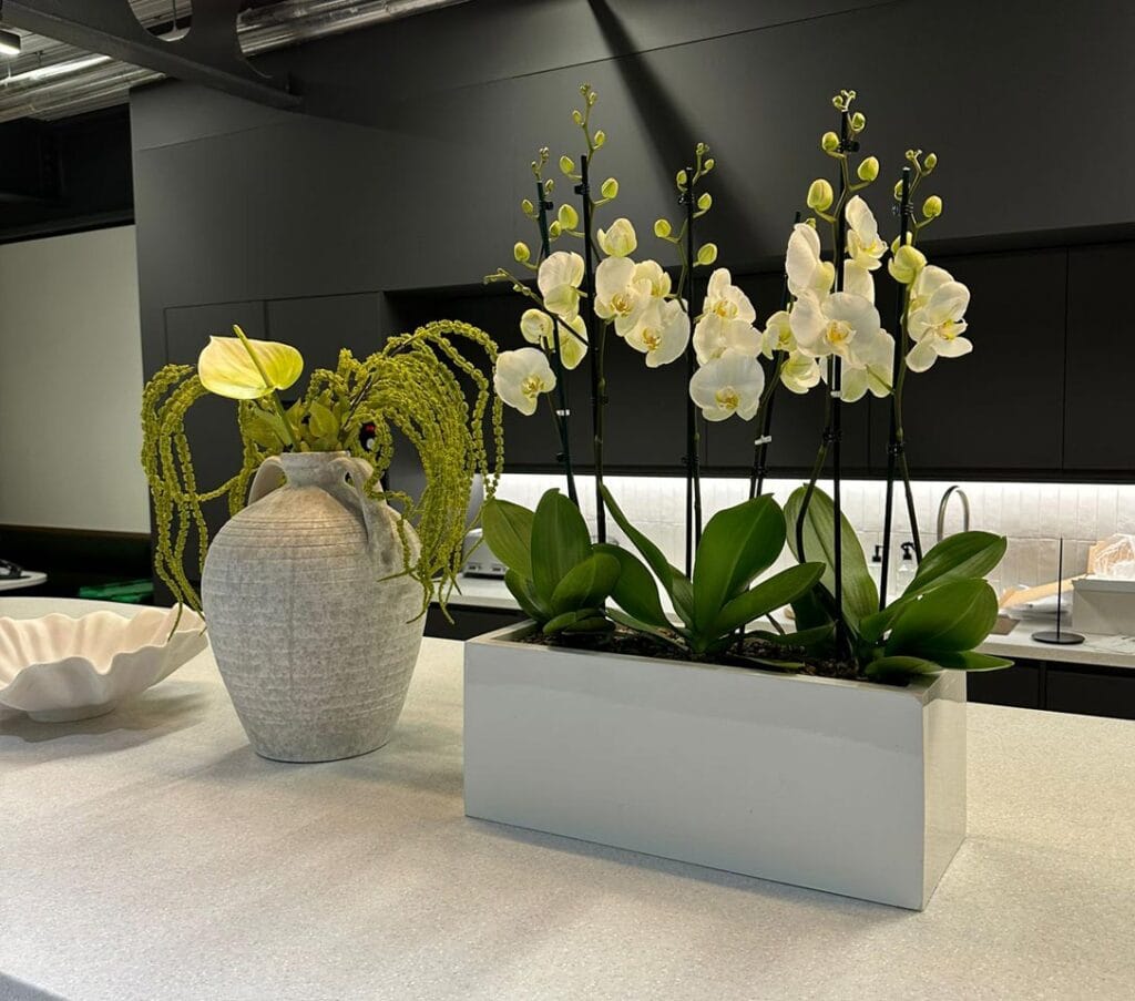 White orchids in a rectangular planter and a green floral arrangement in a textured grey vase on a kitchen counter.