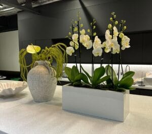 White orchids in a rectangular planter and a green floral arrangement in a textured grey vase on a kitchen counter.